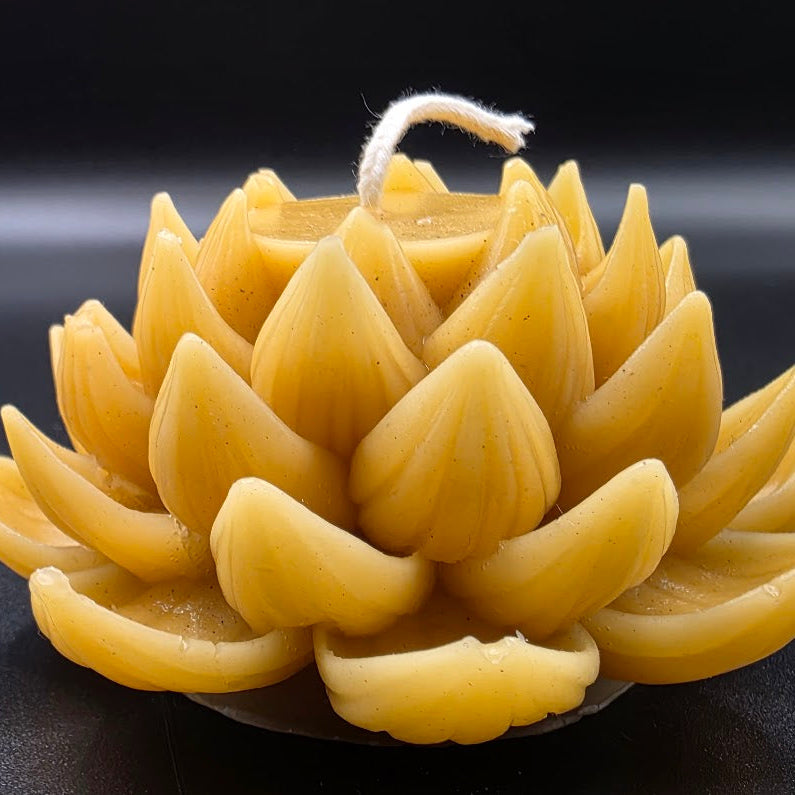 Beeswax candle shaped like a lotus flower on a dark background