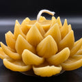 Beeswax candle shaped like a lotus flower on a dark background