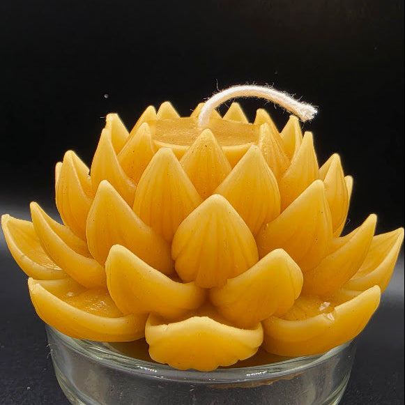 Beeswax candle shaped like a lotus flower on a black background