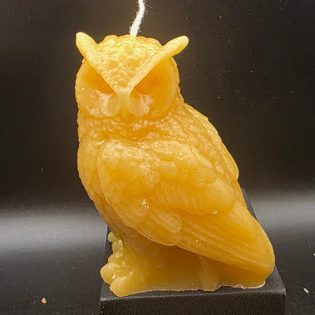 Yellow owl-shaped candle on a black background