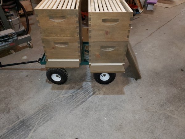 New Beekeeper Complete First Year Kit - Image 4